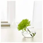 گلدان شیشه ای ایکیا مدل VILJESTARK سایز 8 - تصویر 3