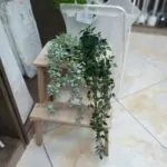 بوته آویز ایکیا اکالیپتوس مدل FEJKA - تصویر 8